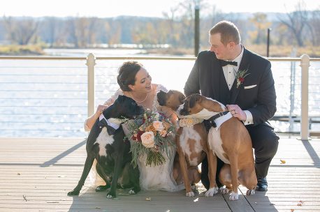 A bride and groom with their dogs on the pier.