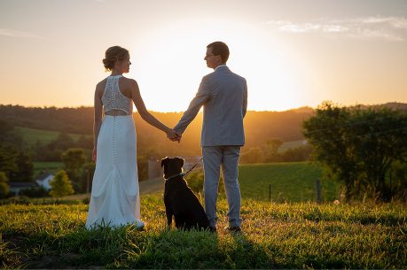 A man and woman holding hands with their dog.