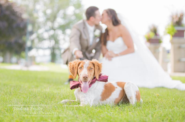 Jordana Snyder Photography