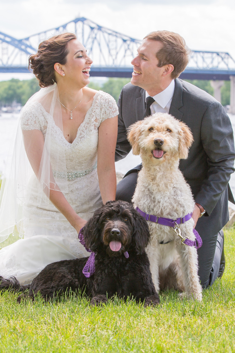 A bride and groom with their dogs in the grass.