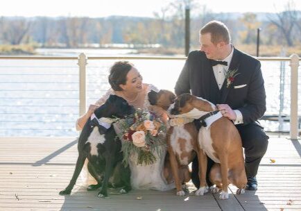 A bride and groom with their dogs on the pier.