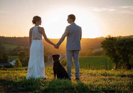 A man and woman holding hands with their dog.