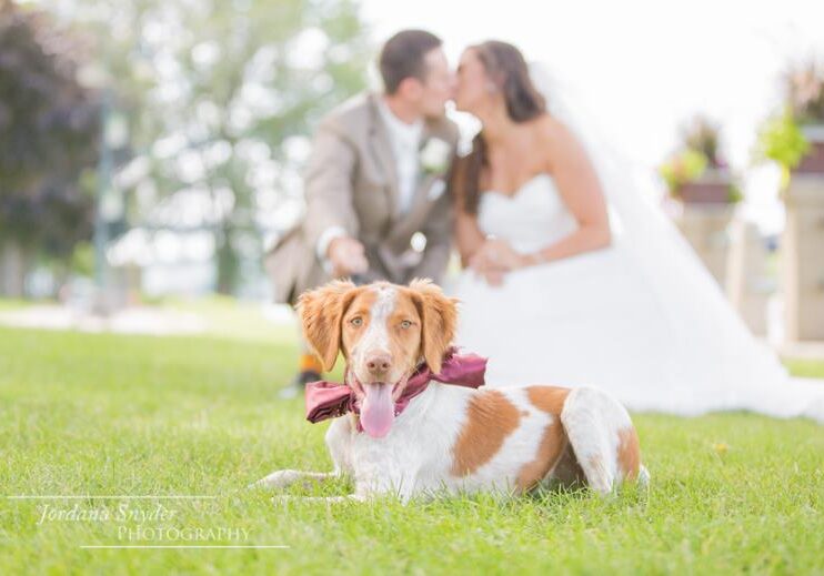 Jordana Snyder Photography